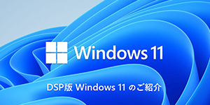 DSP Windows 11 ̂Љ