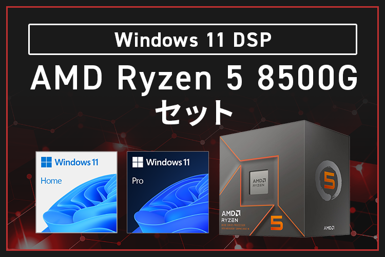 Windows 11 DSP AMD Ryzen 5 8500G Zbg